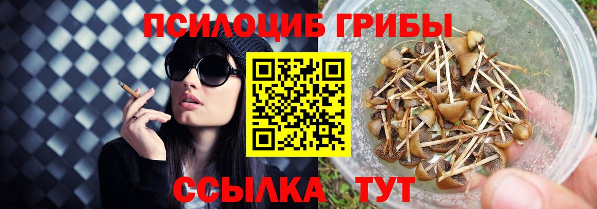 Шадринск  Псилоцибиновые грибы GOLDEN TEACHER  Вход с VPN 